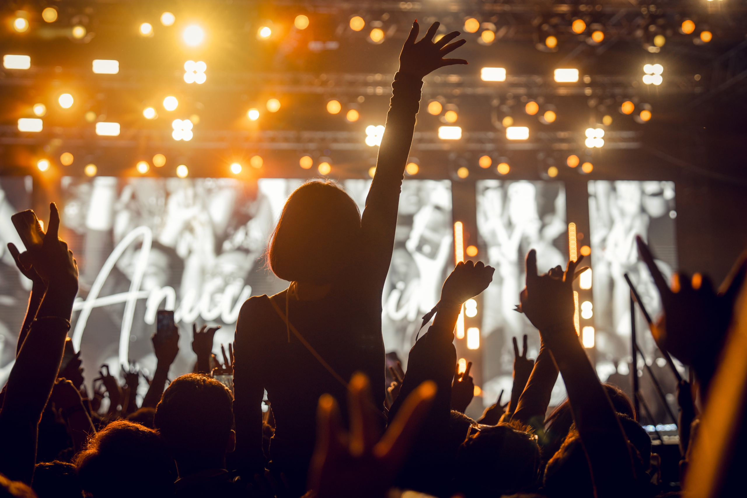 Live entertainment and events in Amsterdam Zuidoost Arena district near major business and office locations