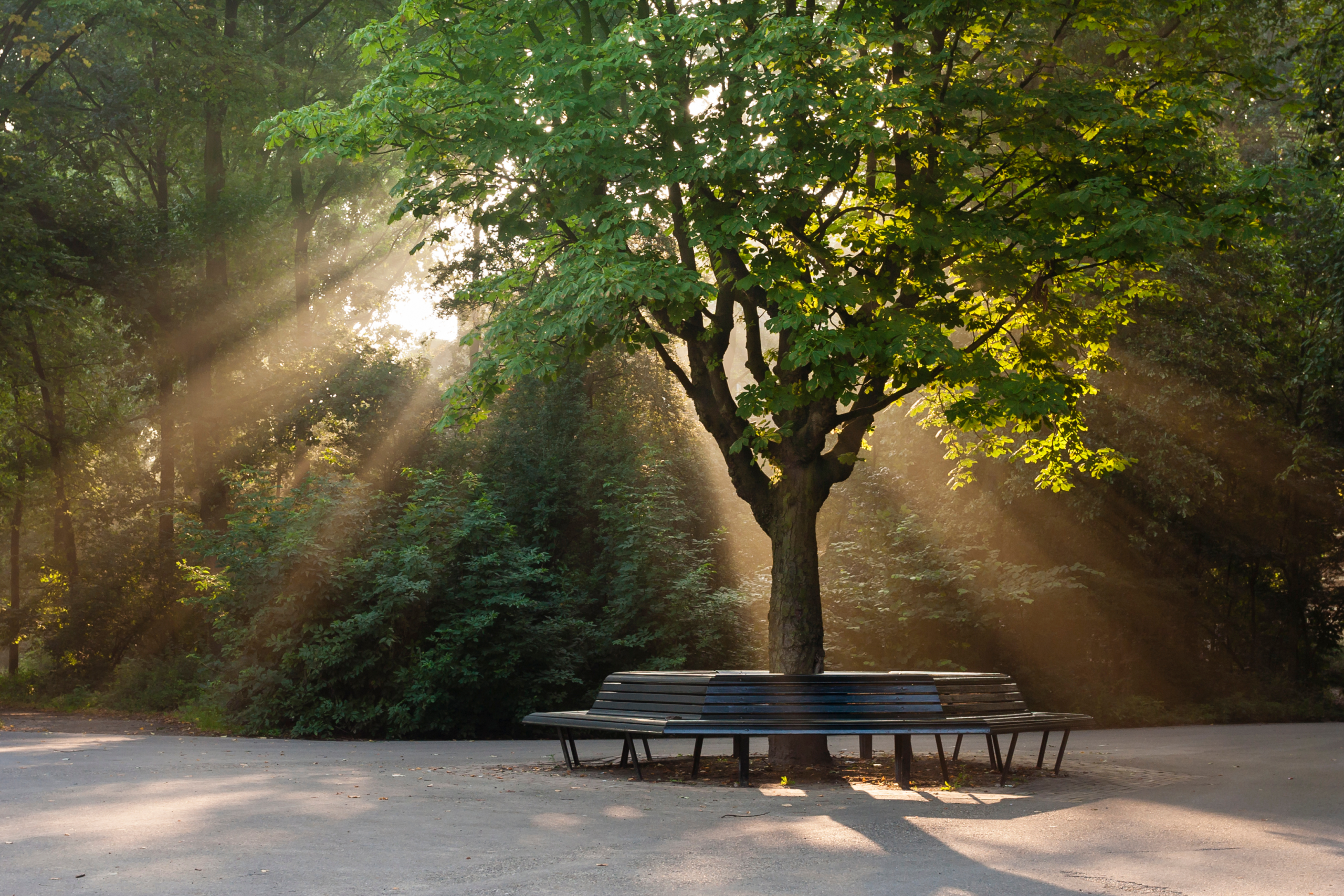 Green park area near office buildings in Amsterdam Zuidoost promoting a healthy and sustainable working environment